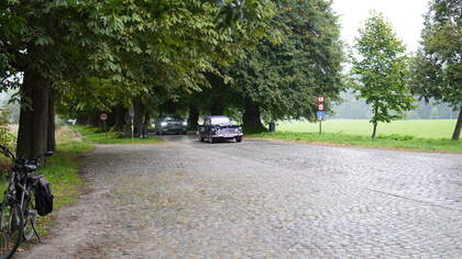 DSC09071.JPG