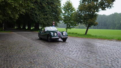 DSC09076.JPG