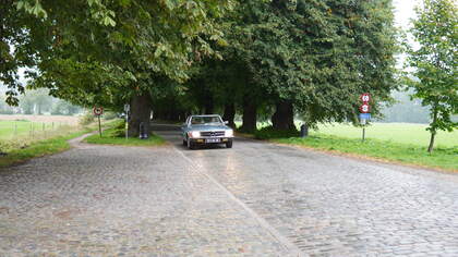 DSC09092.JPG