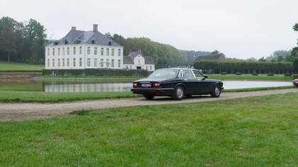 DSC09585.JPG