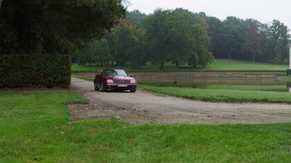 DSC09726.JPG