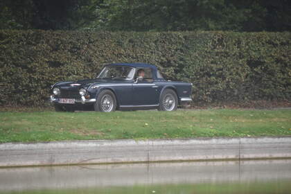 DSC_0334.JPG