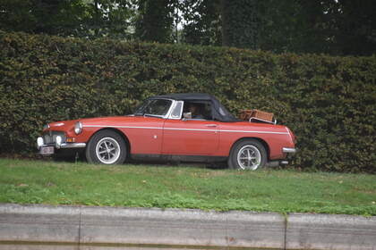 DSC_0363.JPG