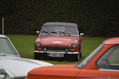 DSC_0375.JPG