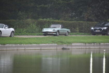 DSC_0383.JPG
